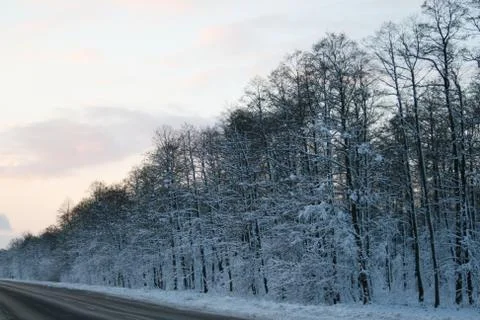 Road forest in winter Foto stock