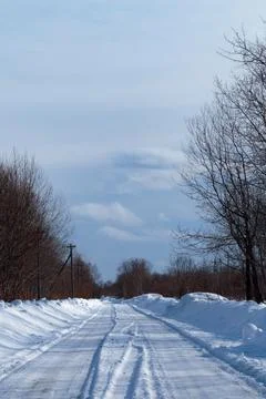 Road in the forest in winter. Stock Photos