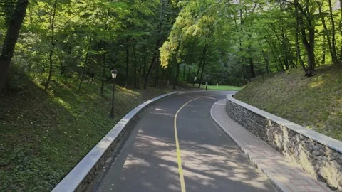 Road in the forest. Woods in the park. Stock Footage 160917835