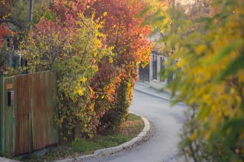 Road to the forrest Stock Photos