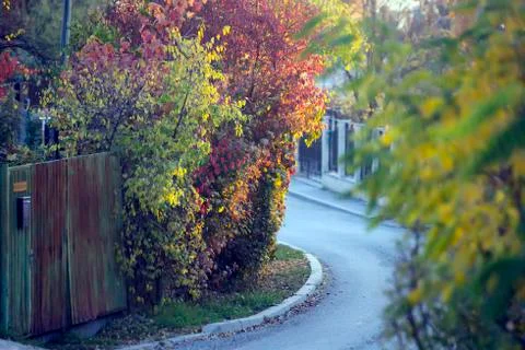 Road to the forrest Stock Photos
