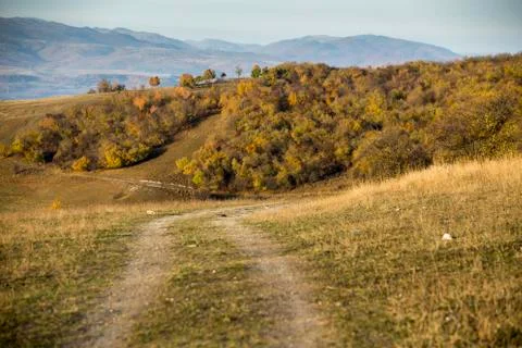 Road to the forrest Stock Photos