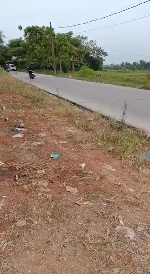 The road in front of the factory Video stock 241509320