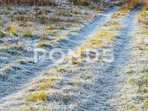 The road to the frosted grass. Frost on the road Stock Photos