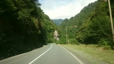 A road full of green trees in Rize. Stock Footage 148879747