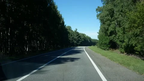 The road goes ahead, on the sides there is a pine forest Stock Footage 165337221