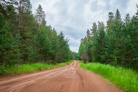 A road that goes deep into the forest Stock Photos