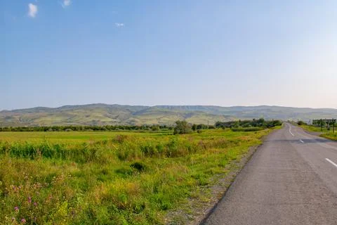 Road going into the distance in the fields Stock Photos