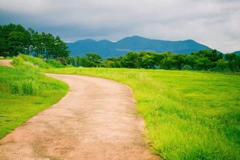 The road going into the distance. Foto stock