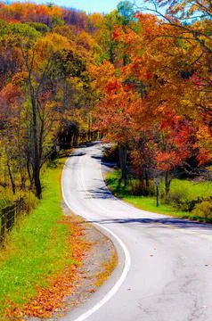 Road going through a colorful, autumn forest, vertical Stock Photos