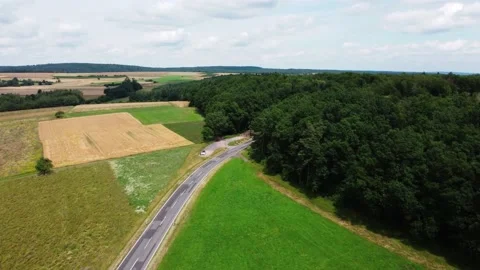 Road going through the fields into the forest Stock Footage 161065528