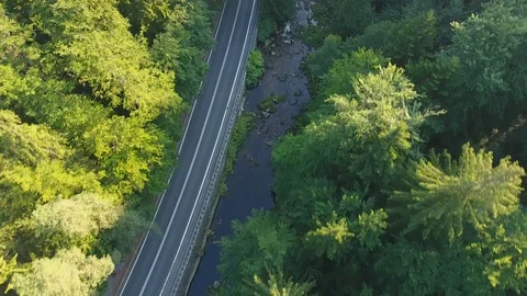 Road Going Through The Forest Along The Mountaing River. Aerial Scene Stock Footage 116671492