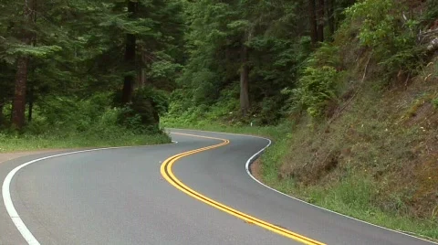 Road going through the Forest Stock Footage 770970