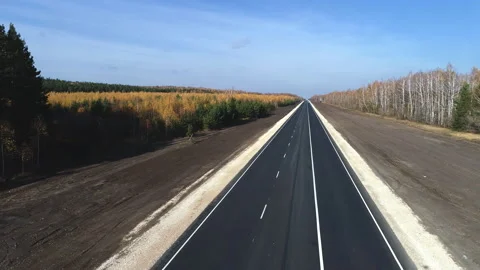 Road going through forest Stock Footage 99251546