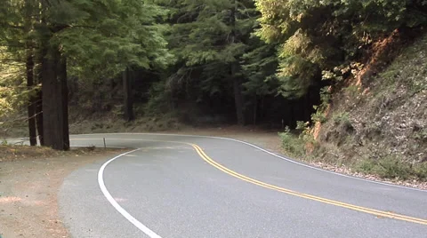 Road going through the Forest Oregon 動画素材 38601241