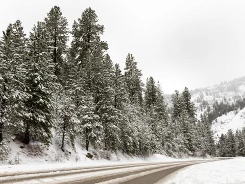 Road going through the mountains Stock Photos