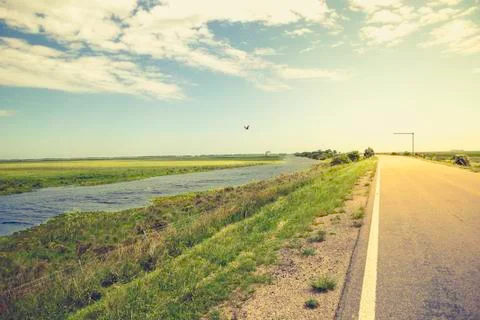 Road going through the Taim ecological station. Rio Grande do Sul, Brazil. Stock Photos