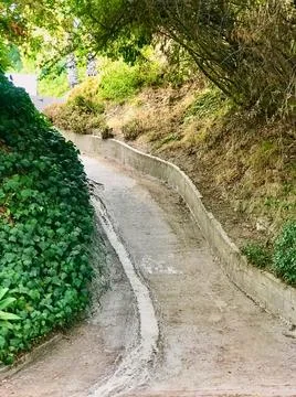 The road going up in the woods Stock Photos