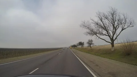 Road gopro spring Stock Footage 90026824