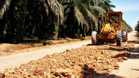 Road Grader Leveling Rocks on Dirt Path in Oil Palm Plantation Stock-Footage 333937124