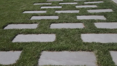 Road on the grass Stock Footage 139870218