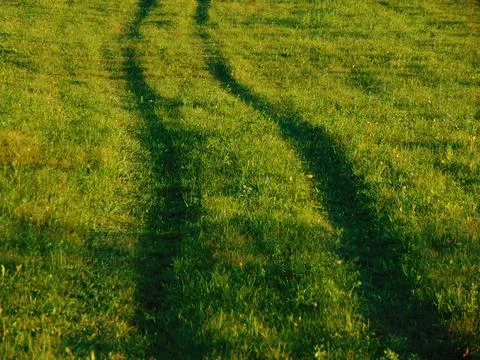 Road on the grass in Maramures county Fotos de archivo
