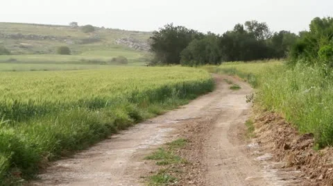 Road in green field Stockbeeldmateriaal 22339562