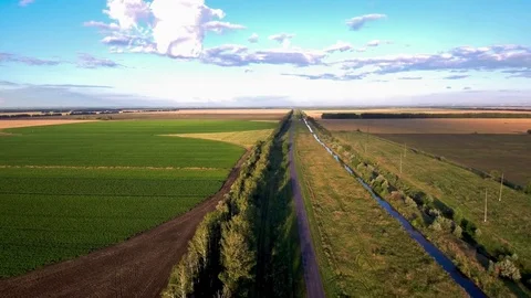 Road green field top view. Stock Footage 79042671