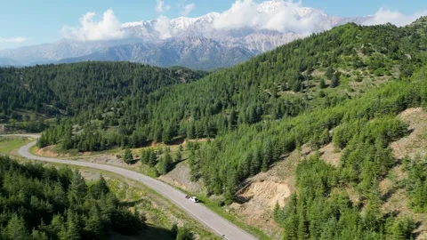 Road of Green Hills Stock Footage 274534140