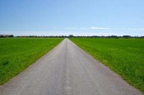 Road in the green Stock Photos