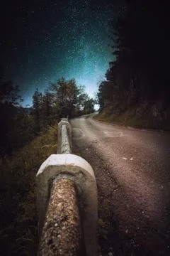 The road with green trees Stock Photos