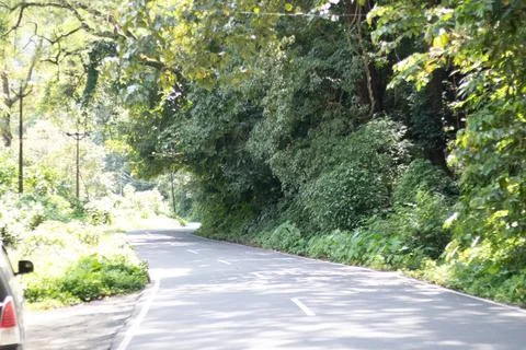 Road with greenery on both side Stock Photos