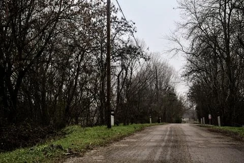 Road in a grove with bare trees on a cloudy day in winter Stock Photos