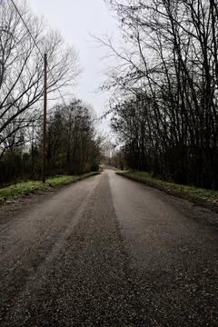 Road in a grove with bare trees on a cloudy day in winter Stock Photos