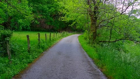 Road to heaven Stock Footage 137271854