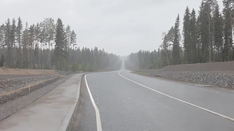 Road, highway, forest on the sides, cloudy, asphalt, barrier fencing, reflectors Stock Footage 303406504