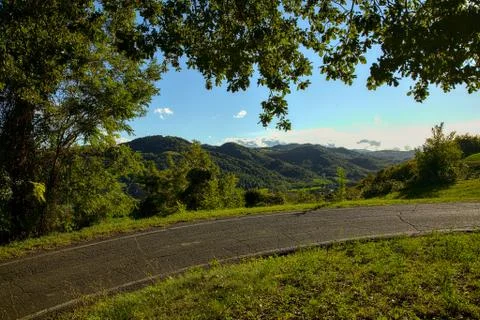 A road on a hill framed by a tree Stock Photos