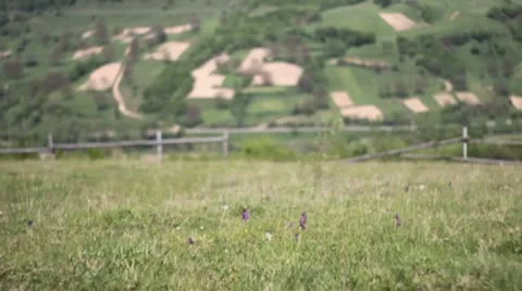 Road in hills with bus passing Stock Footage 10805013