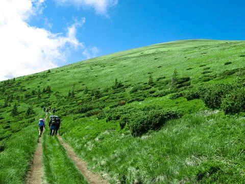 Road on the hillside Stock Photos