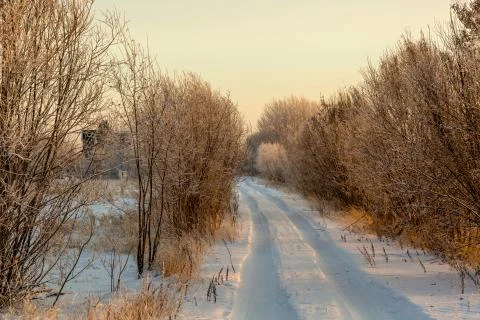 Road to home 스톡 사진