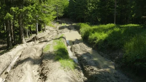 The road to Hoverla, Goverla Stock Footage 170795626