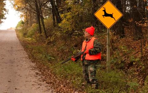 Road hunter 스톡 사진