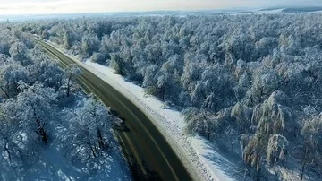 The road in the icy forest Video stock 85833048