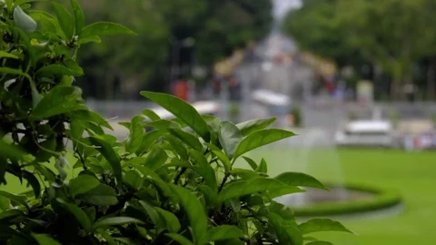 The Road to Indepence Palace 스톡 동영상 81414428