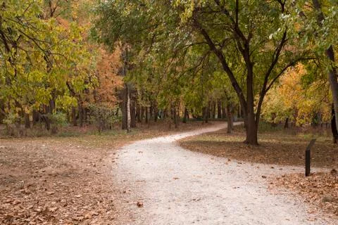 Road in Indianapolis During the Fall Stock Photos