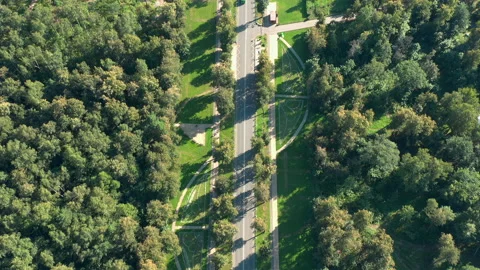 Road inside big garden in motion. View from above. Avenue in forest. Summer day. Stock Footage 140814477