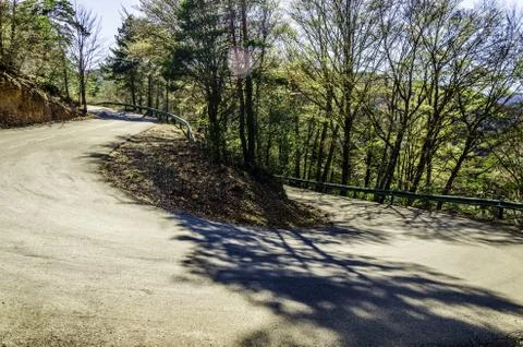 Road inside the forest high in the mountain Stock Photos