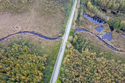 Road intersecting blue river among autumn yellow forests, bogs Stock Photos