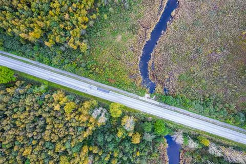Road intersecting blue river among autumn yellow forests, bogs Stock Photos