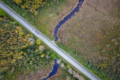 Road intersecting blue river among autumn yellow forests, bogs Stock Photos